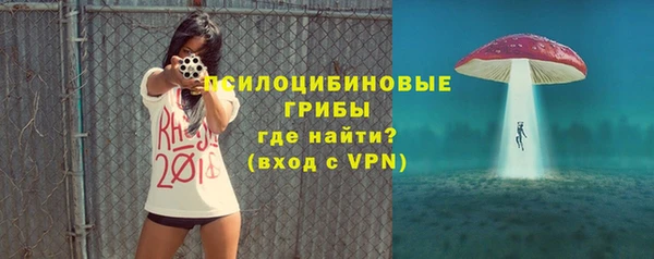 гашик Куйбышев