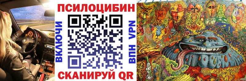 Купить закладки  Одинцово  Галлюциногенные грибы Psilocybine cubensis 